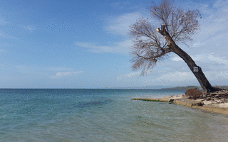 Coastal erosion