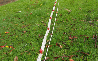 Seismic Line